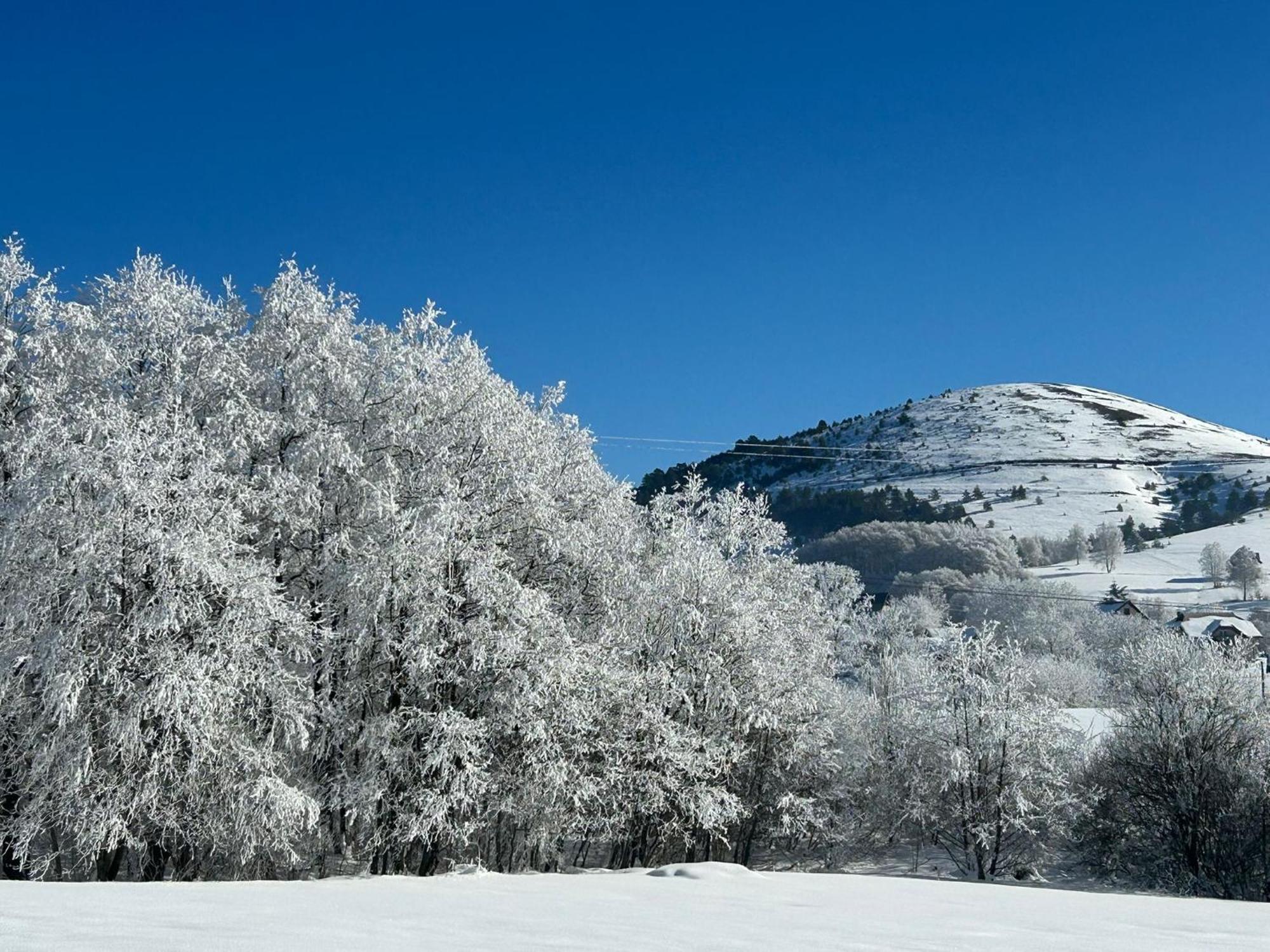Gm Apartment Zlatibor